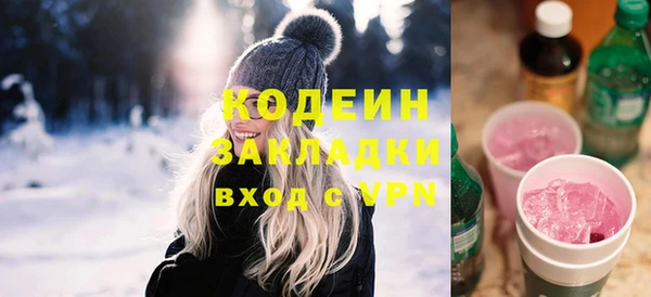 ешки Вяземский