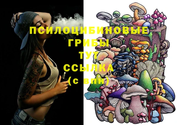 apvp Вязники