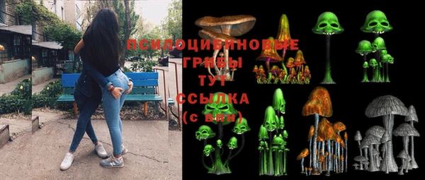 ешки Вяземский